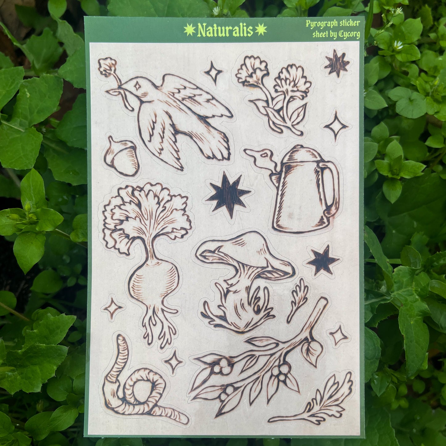 Naturalis Sticker Sheet