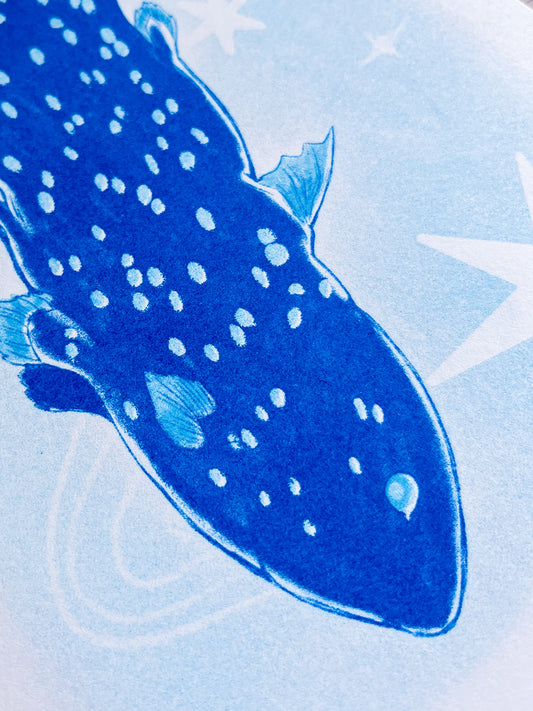 Coelacanth Riso Print