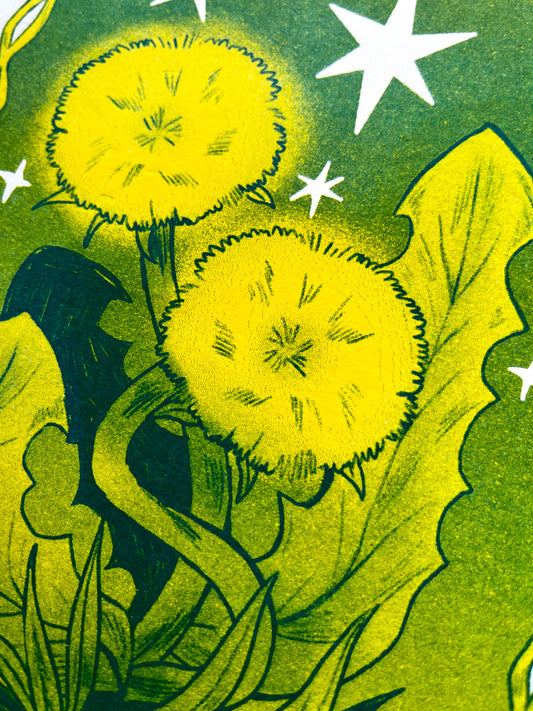 Dandelion Riso Print