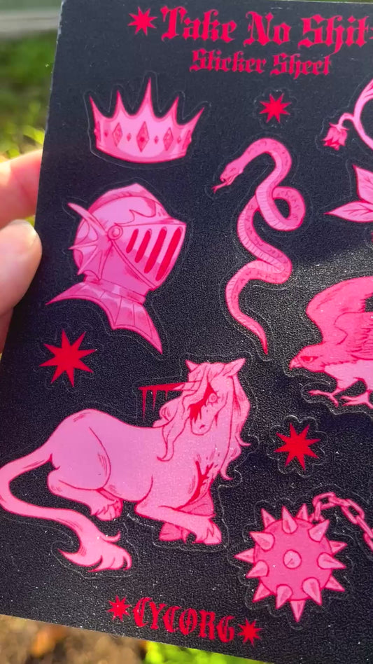 Take No Shit Sticker Sheet