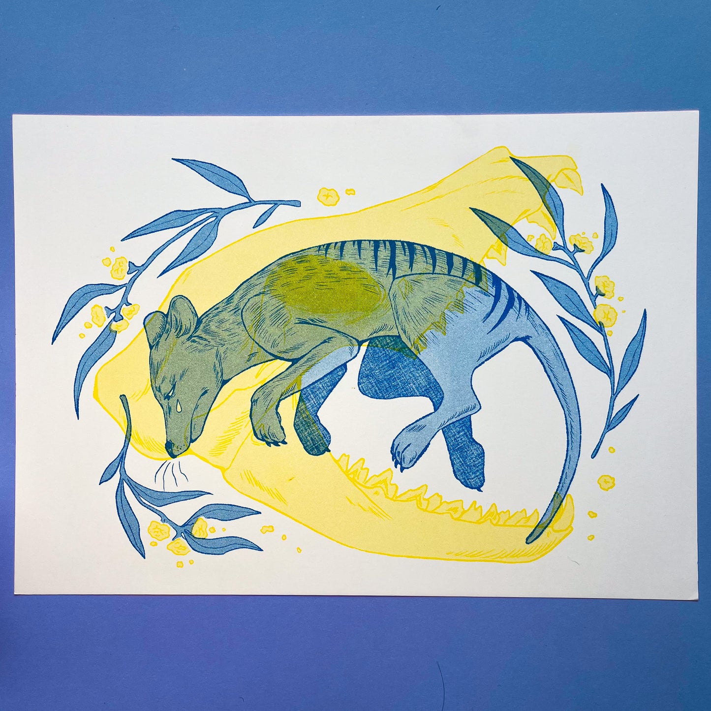 Endling Thylacine Riso Print